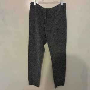 Express fuzzy joggers